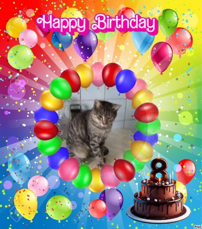 zoza1958 uploaded   35  day/s  ago