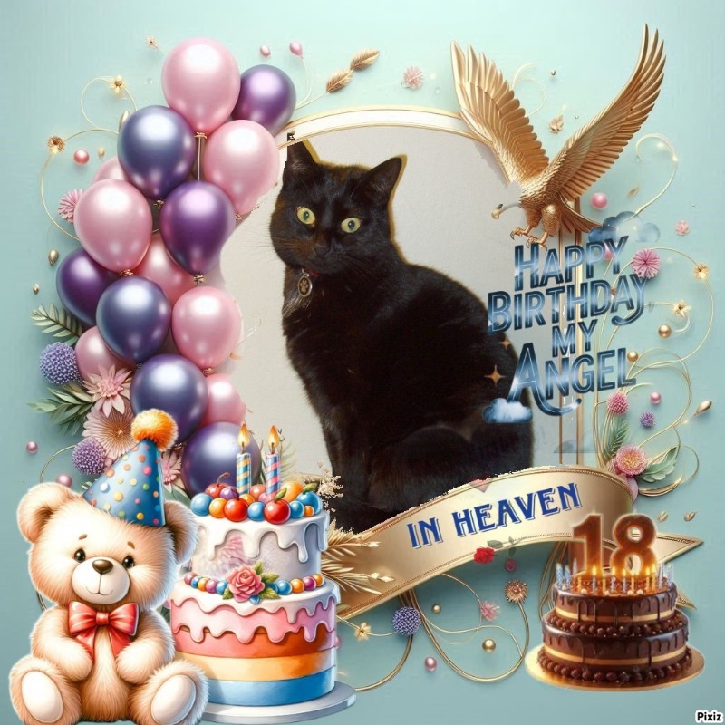 zoza1958 uploaded   35  day/s  ago