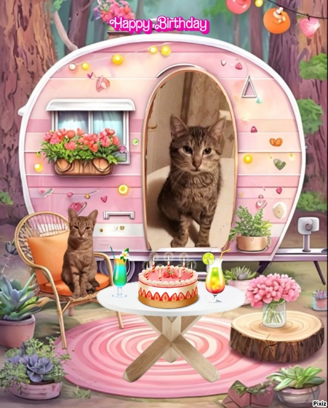 zoza1958 uploaded   35  day/s  ago