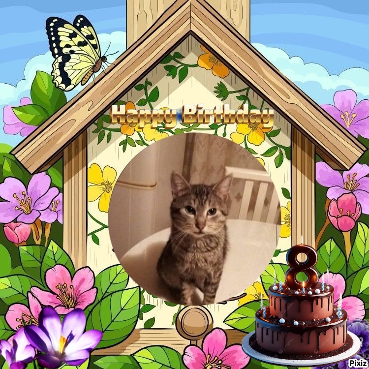 zoza1958 uploaded   35  day/s  ago