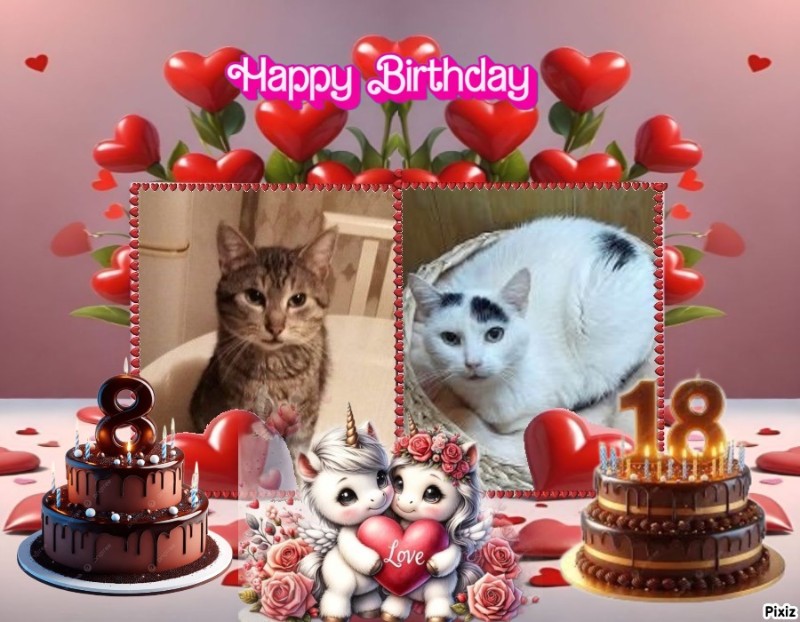 zoza1958 uploaded   35  day/s  ago