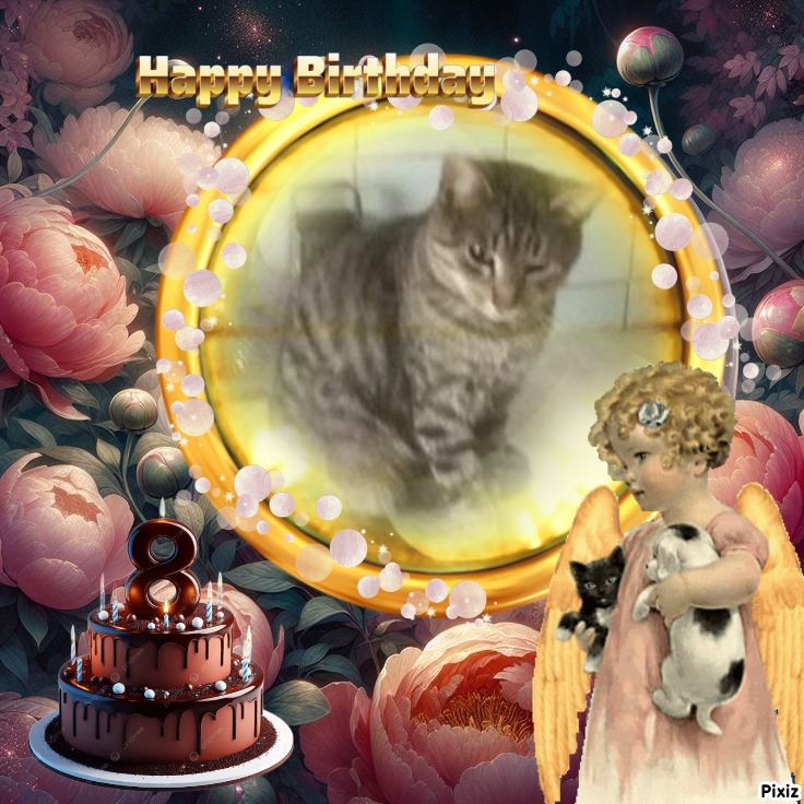 zoza1958 uploaded   35  day/s  ago