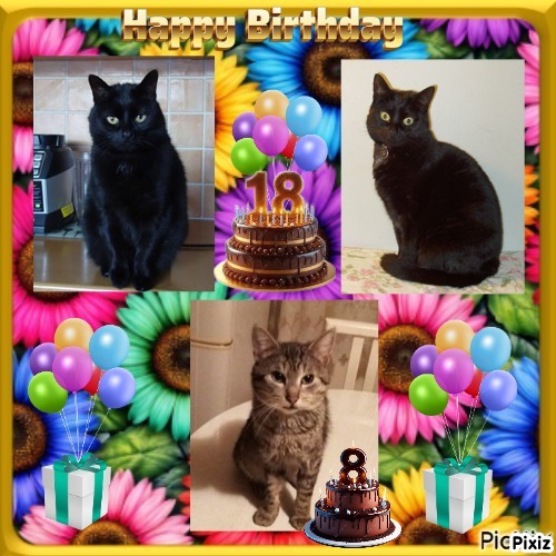 zoza1958 uploaded   35  day/s  ago