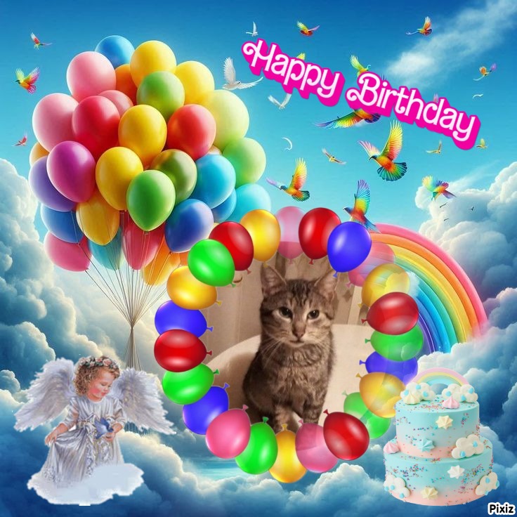 zoza1958 uploaded   35  day/s  ago