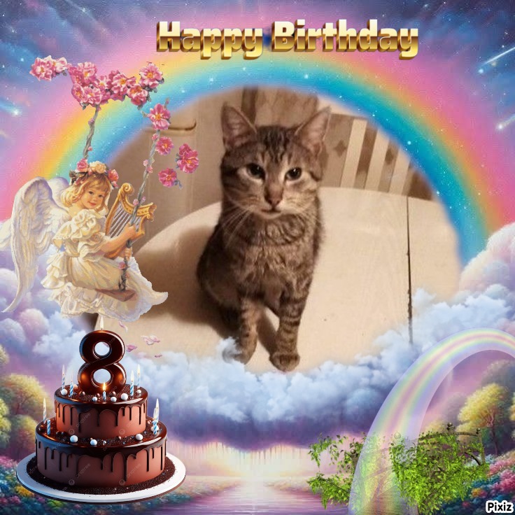 Prince Snoopy of the zoza1958 family