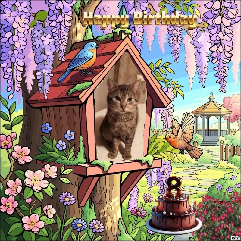 zoza1958 uploaded   35  day/s  ago