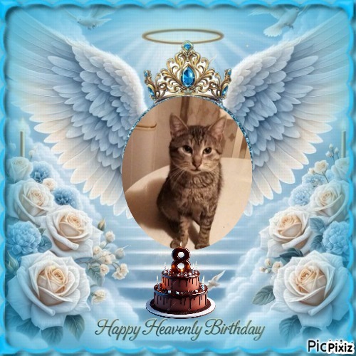 zoza1958 uploaded   35  day/s  ago