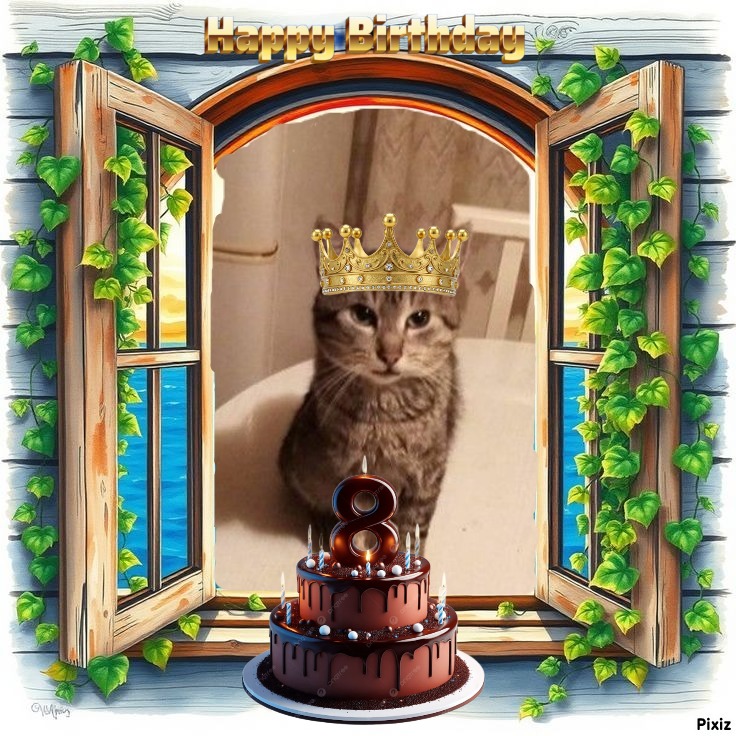 zoza1958 uploaded   35  day/s  ago