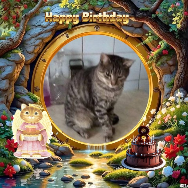 zoza1958 uploaded   35  day/s  ago