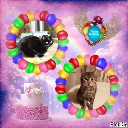 zoza1958 uploaded   35  day/s  ago