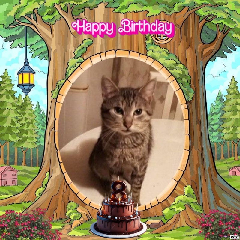 zoza1958 uploaded   35  day/s  ago