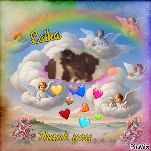 Prince Miki of the zoza1958 family