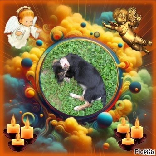 zoza1958 uploaded   28  day/s  ago