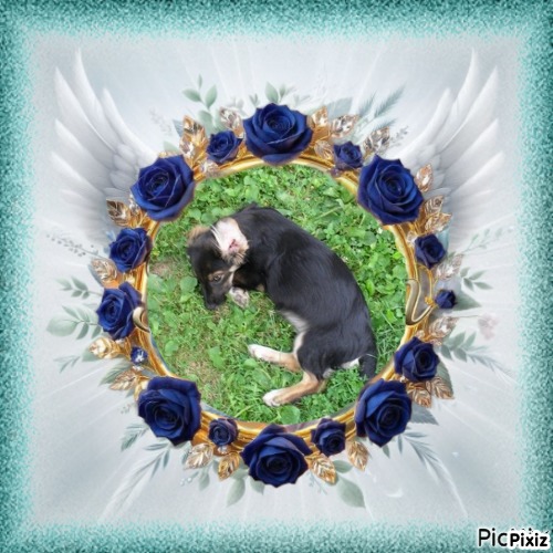 zoza1958 uploaded   28  day/s  ago