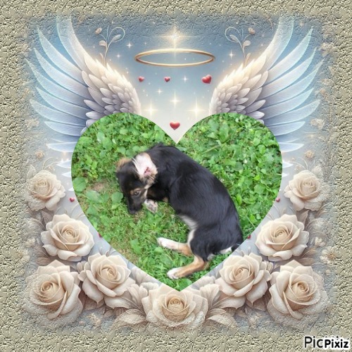 zoza1958 uploaded   28  day/s  ago