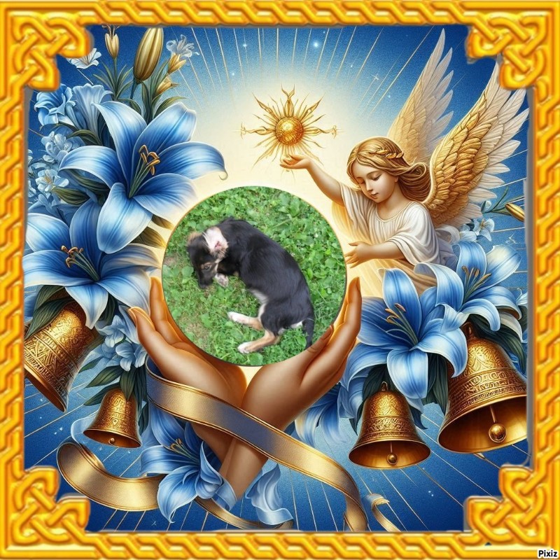 zoza1958 uploaded   28  day/s  ago