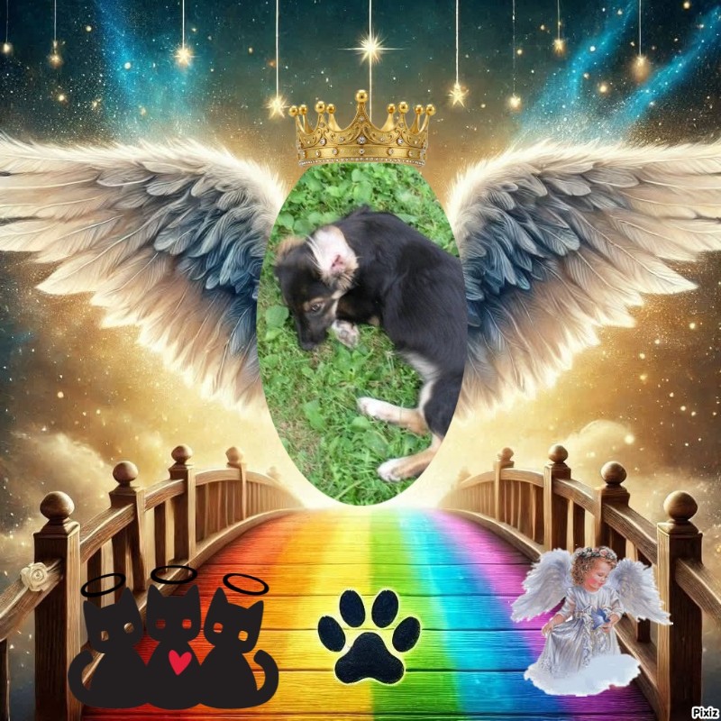 zoza1958 uploaded   28  day/s  ago