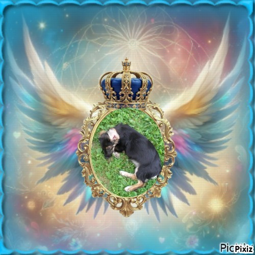 zoza1958 uploaded   28  day/s  ago