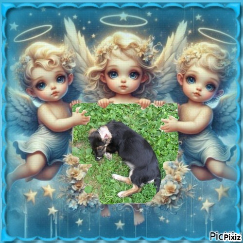 zoza1958 uploaded   28  day/s  ago