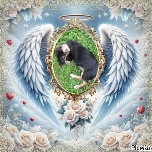 zoza1958 uploaded   28  day/s  ago