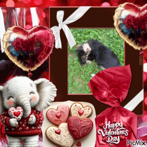 Prince Miki of the zoza1958 family