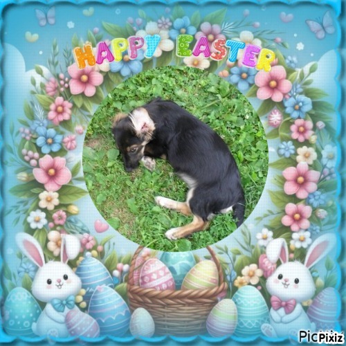 zoza1958 uploaded   6  day/s  ago