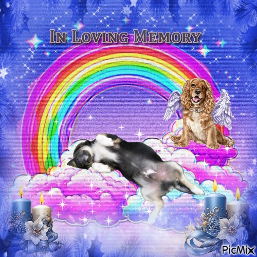 zoza1958 uploaded   28  day/s  ago