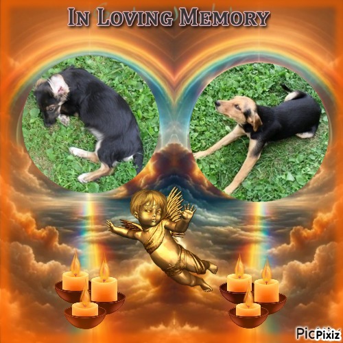 zoza1958 uploaded   28  day/s  ago