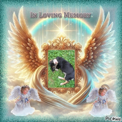 zoza1958 uploaded   28  day/s  ago