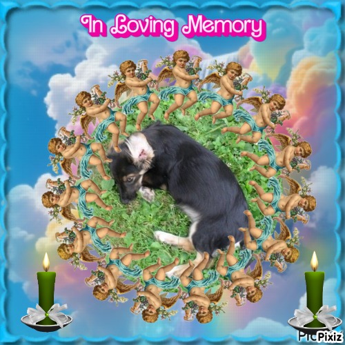 zoza1958 uploaded   28  day/s  ago