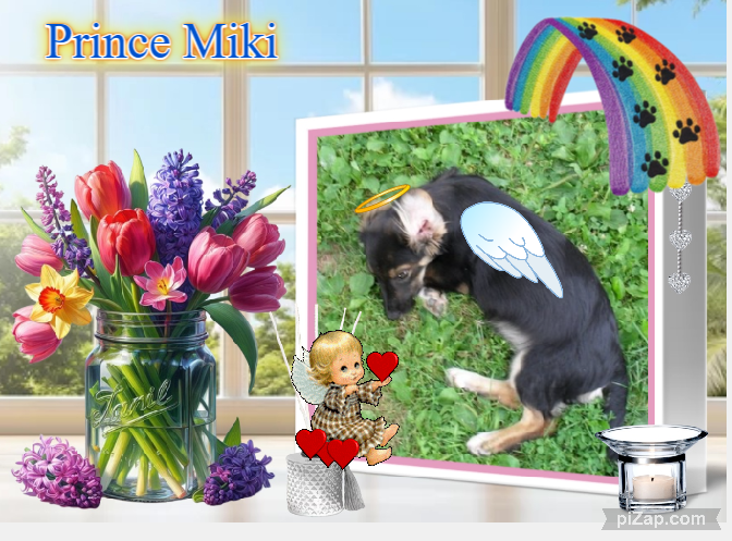 zoza1958 uploaded   28  day/s  ago