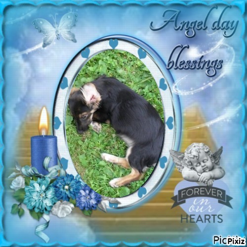 zoza1958 uploaded   28  day/s  ago