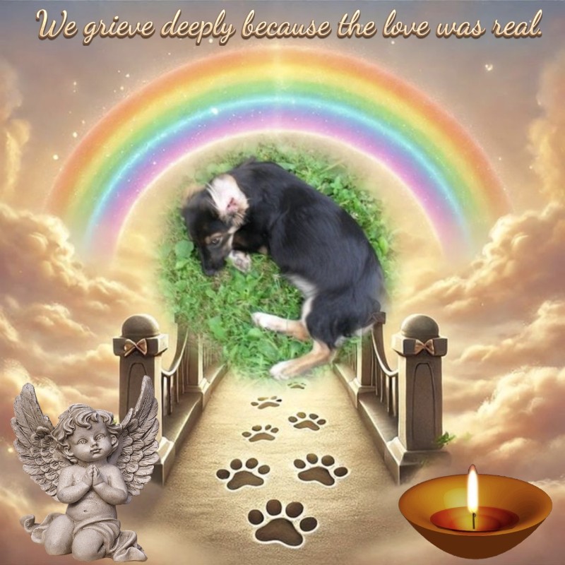 zoza1958 uploaded   28  day/s  ago