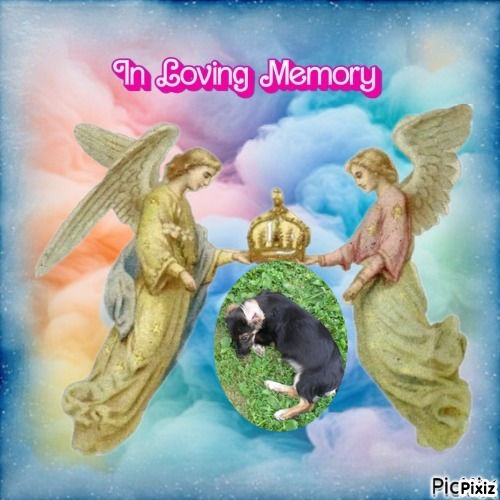 zoza1958 uploaded   28  day/s  ago