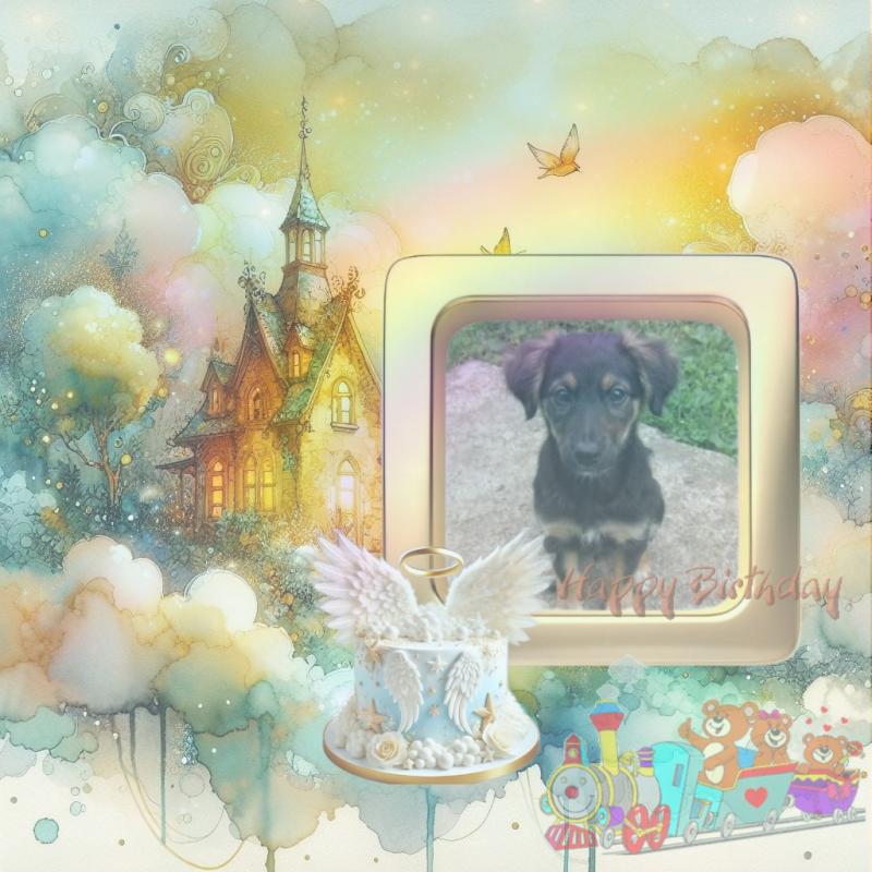 Prince Miki of the zoza1958 family