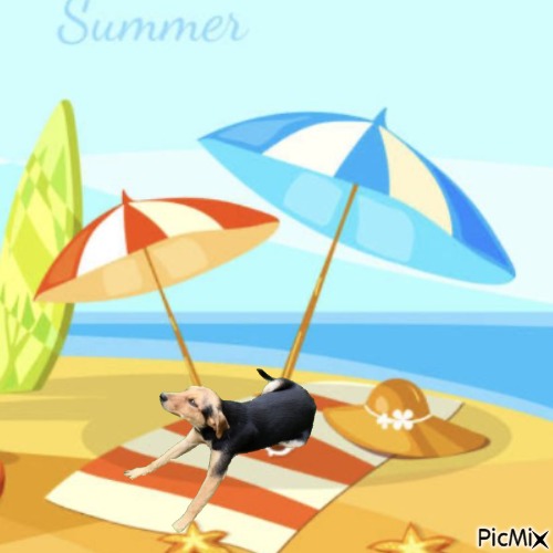 Princess Linda of the zoza1958 family