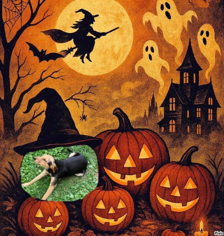 Princess Linda of the zoza1958 family