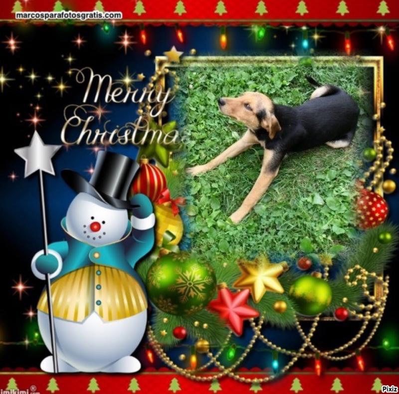 Princess Linda of the zoza1958 family