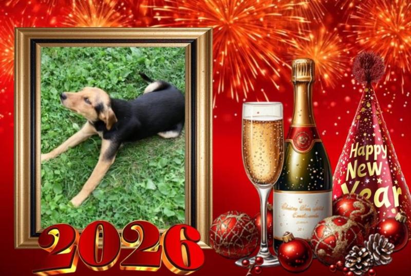 Princess Linda of the zoza1958 family