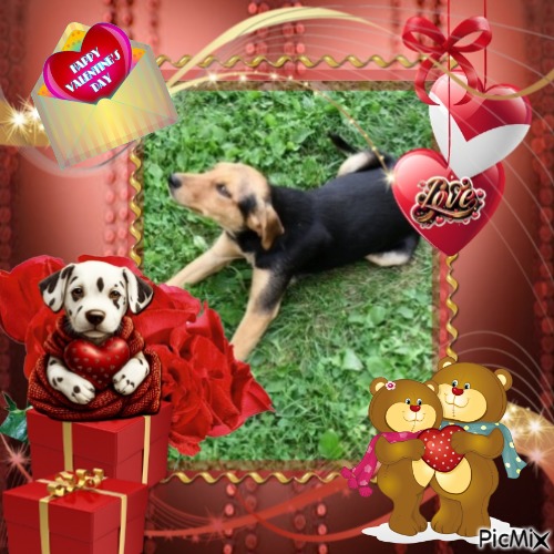 Princess Linda of the zoza1958 family