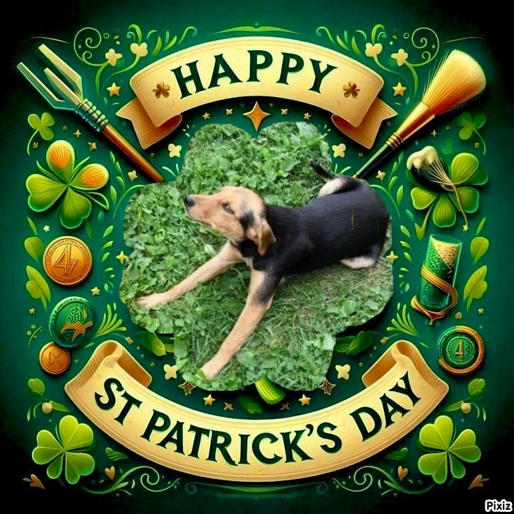 zoza1958 uploaded   31  day/s  ago