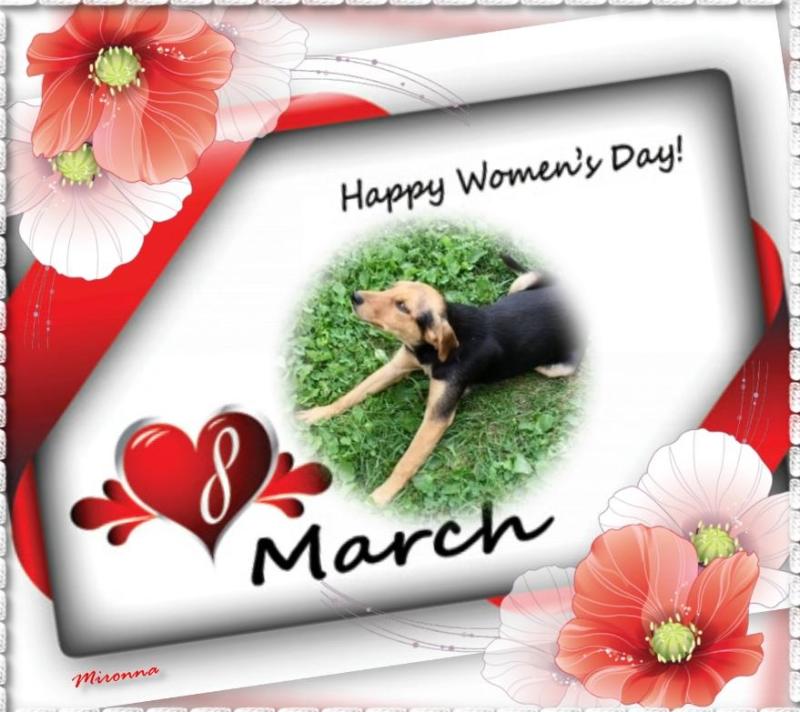 zoza1958 uploaded   45  day/s  ago