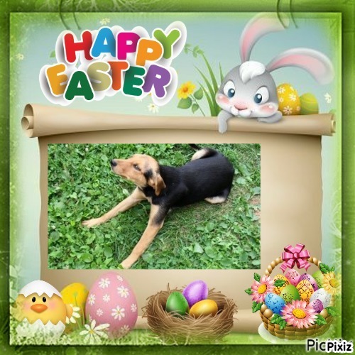 zoza1958 uploaded   6  day/s  ago