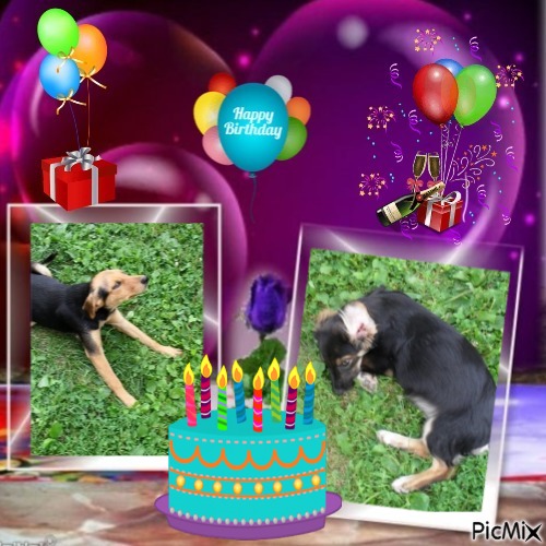 Princess Linda of the zoza1958 family