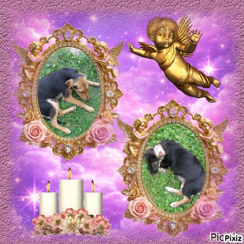 zoza1958 uploaded   30  day/s  ago