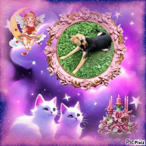 zoza1958 uploaded   30  day/s  ago