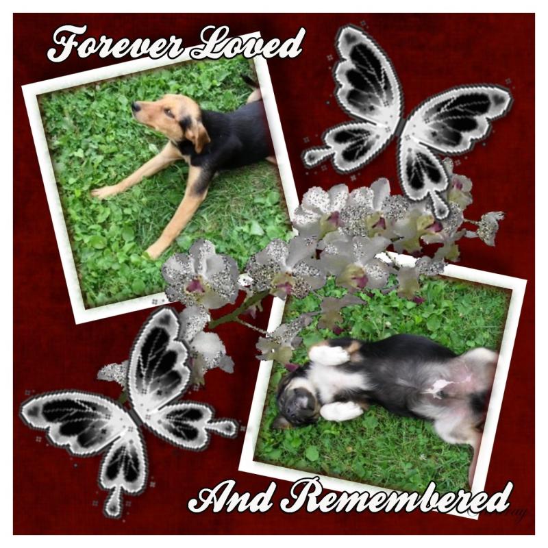 zoza1958 uploaded   17  day/s  ago