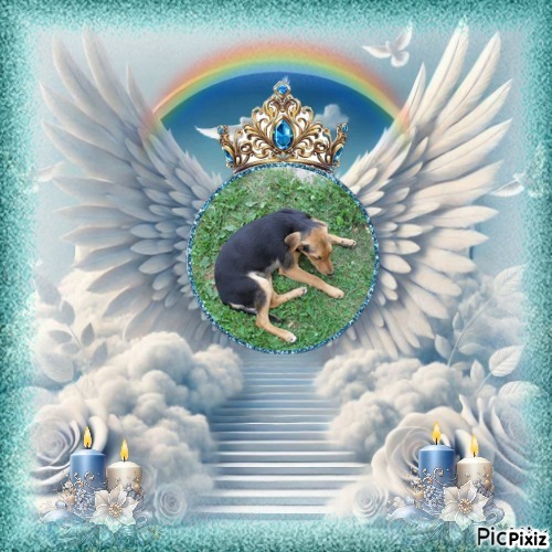 zoza1958 uploaded   30  day/s  ago