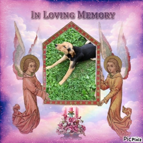 zoza1958 uploaded   30  day/s  ago