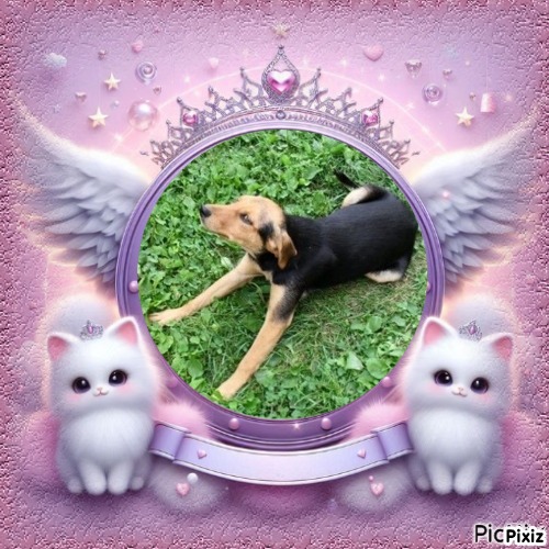 Princess Linda of the zoza1958 family